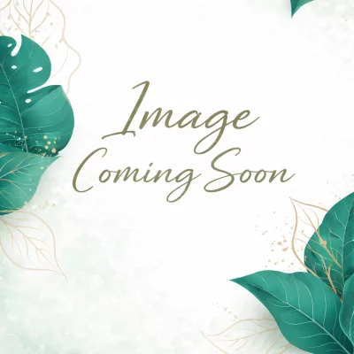 Alpha Beta Beauty Pads